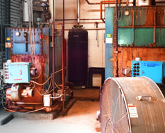 High Temperature Indoor Hot Water Boilers - Rite Boilers